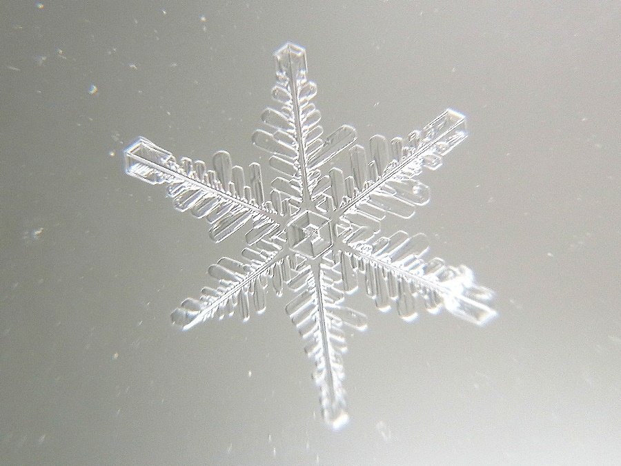 Schneekristall I Schneekristall I