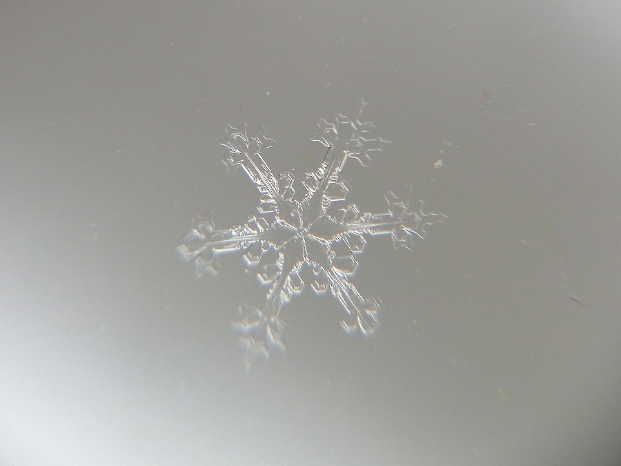 Schneekristall III Schneekristall III