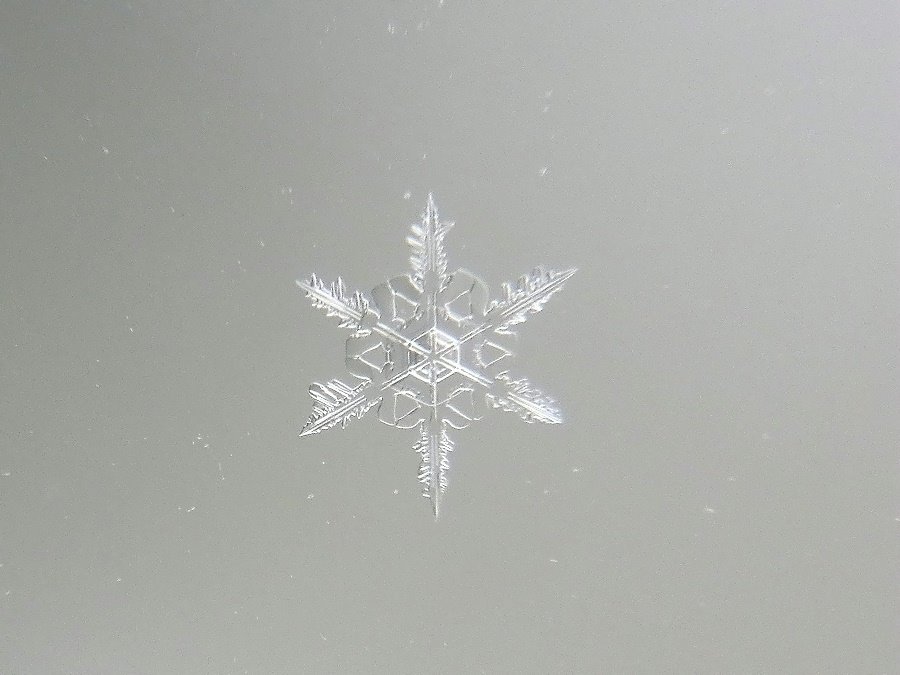 Schneekristall IV Schneekristall IV