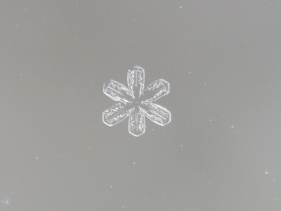 Schneekristall V Schneekristall V